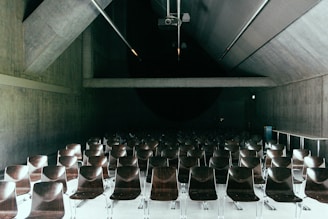 A dimly lit auditorium with rows of empty, dark brown chairs arranged in orderly columns facing towards a stage or presentation area. The architecture features exposed concrete walls and a high, slanted ceiling with visible lighting fixtures and a projector mounted on the ceiling.
