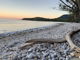 landscape photography of seacoast
