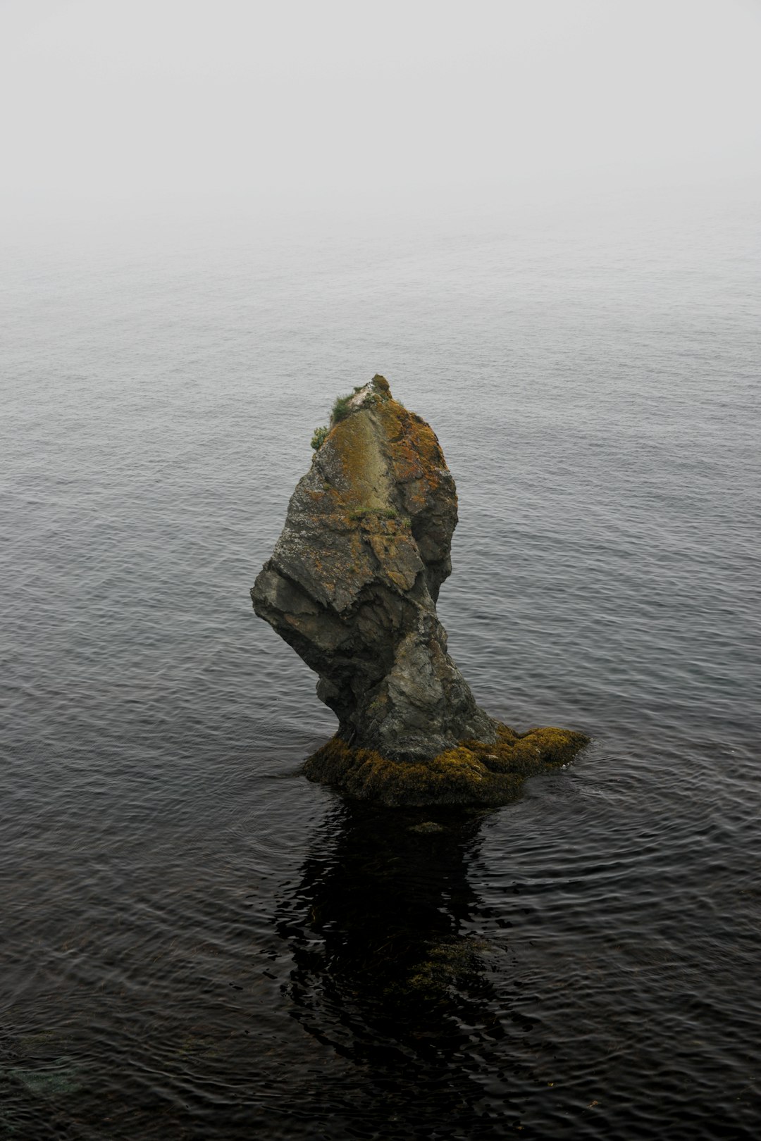 travelers stories about Cliff in Trinity, Canada