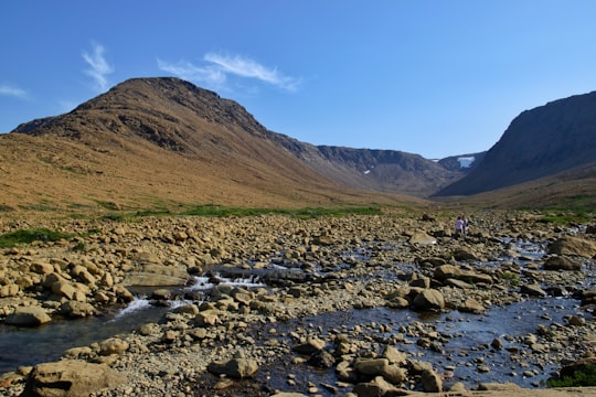 Bonne Bay things to do in Norris Point