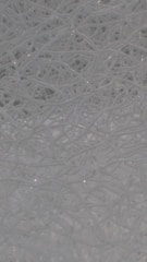 A complex network of tangled, translucent threads or fibers intertwined in an intricate pattern. The strands create an abstract and organized chaos with a smooth and reflective surface.