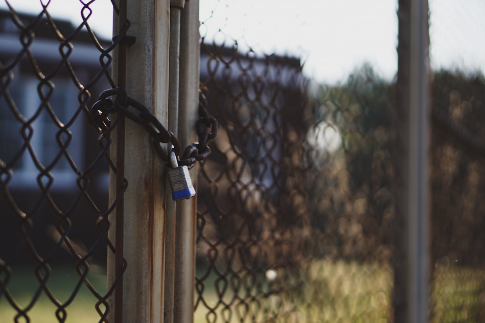 gray and blue padlock locked on mesh-link gate