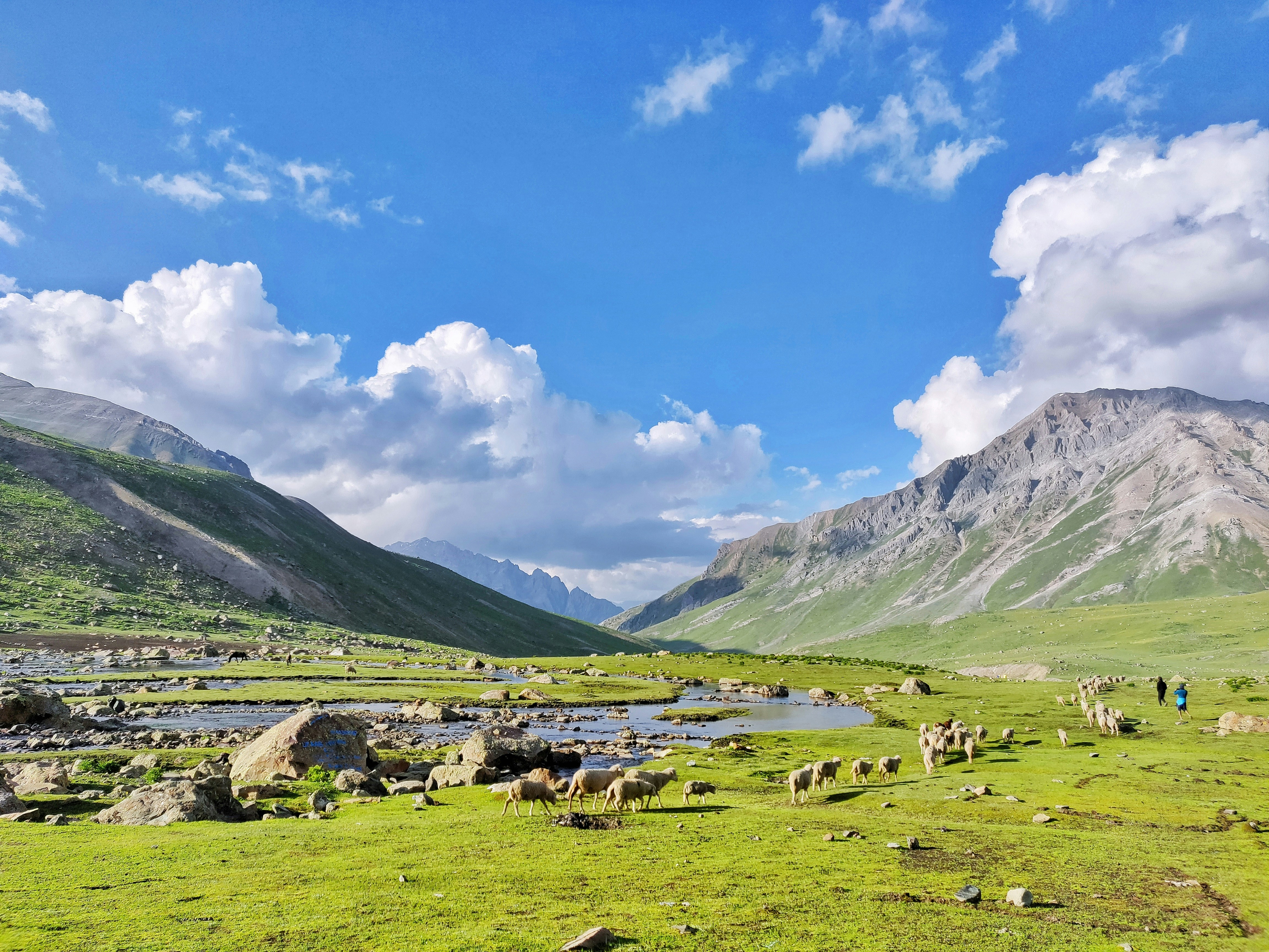 Photo by nitinreddyk