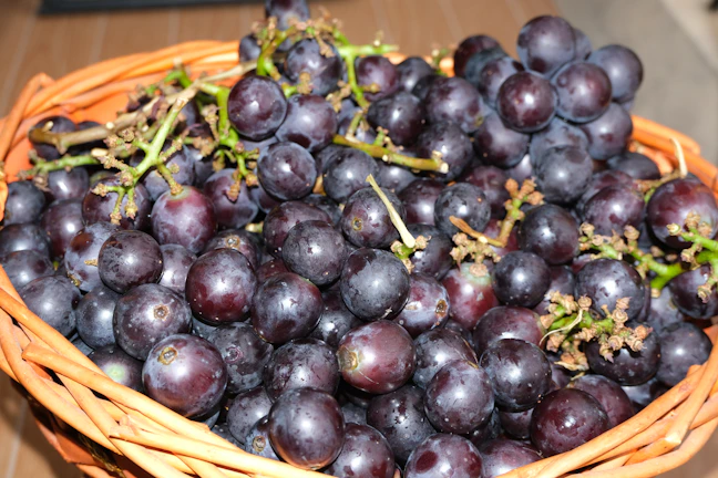 A basket overflowing with fresh grapes and a Bible open to John 15.