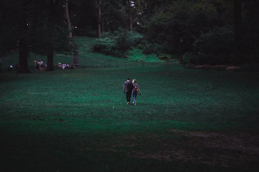 two people walking in field near trees