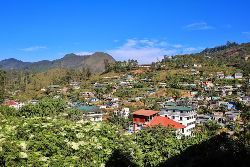 aerial photograph of town