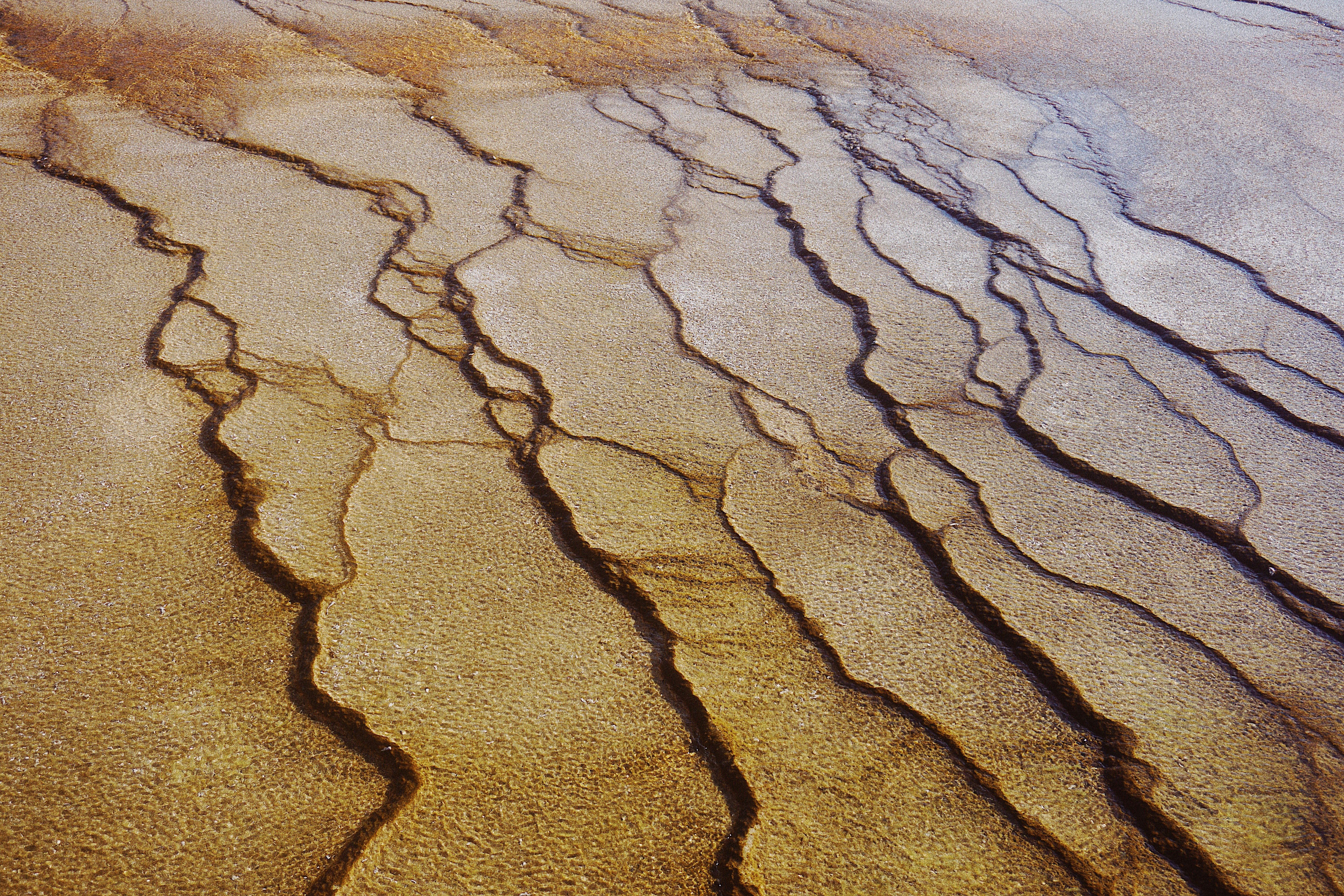 Photo by 11shadesofblue