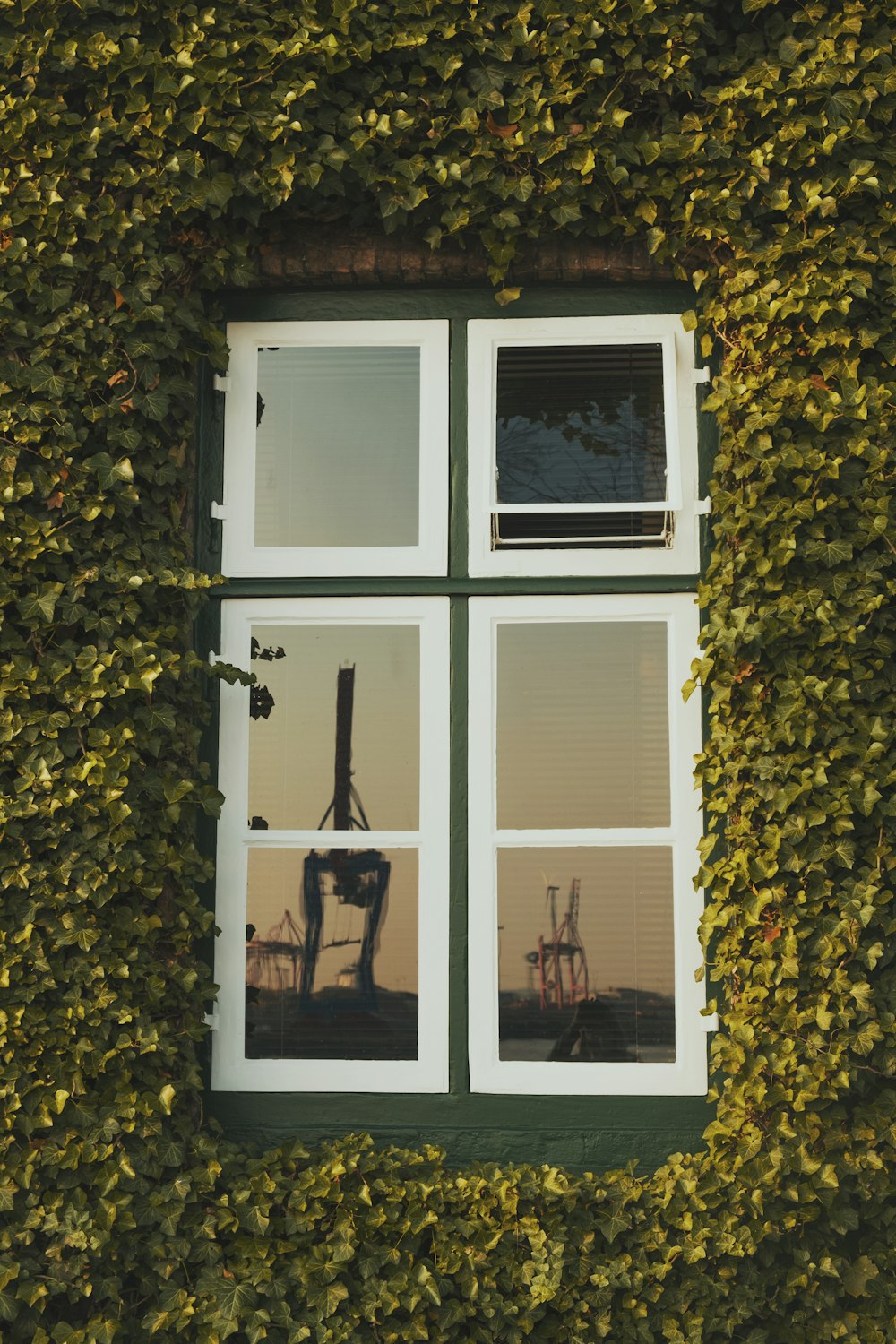 Ein Fenster mit einer Reihe von Fenstern