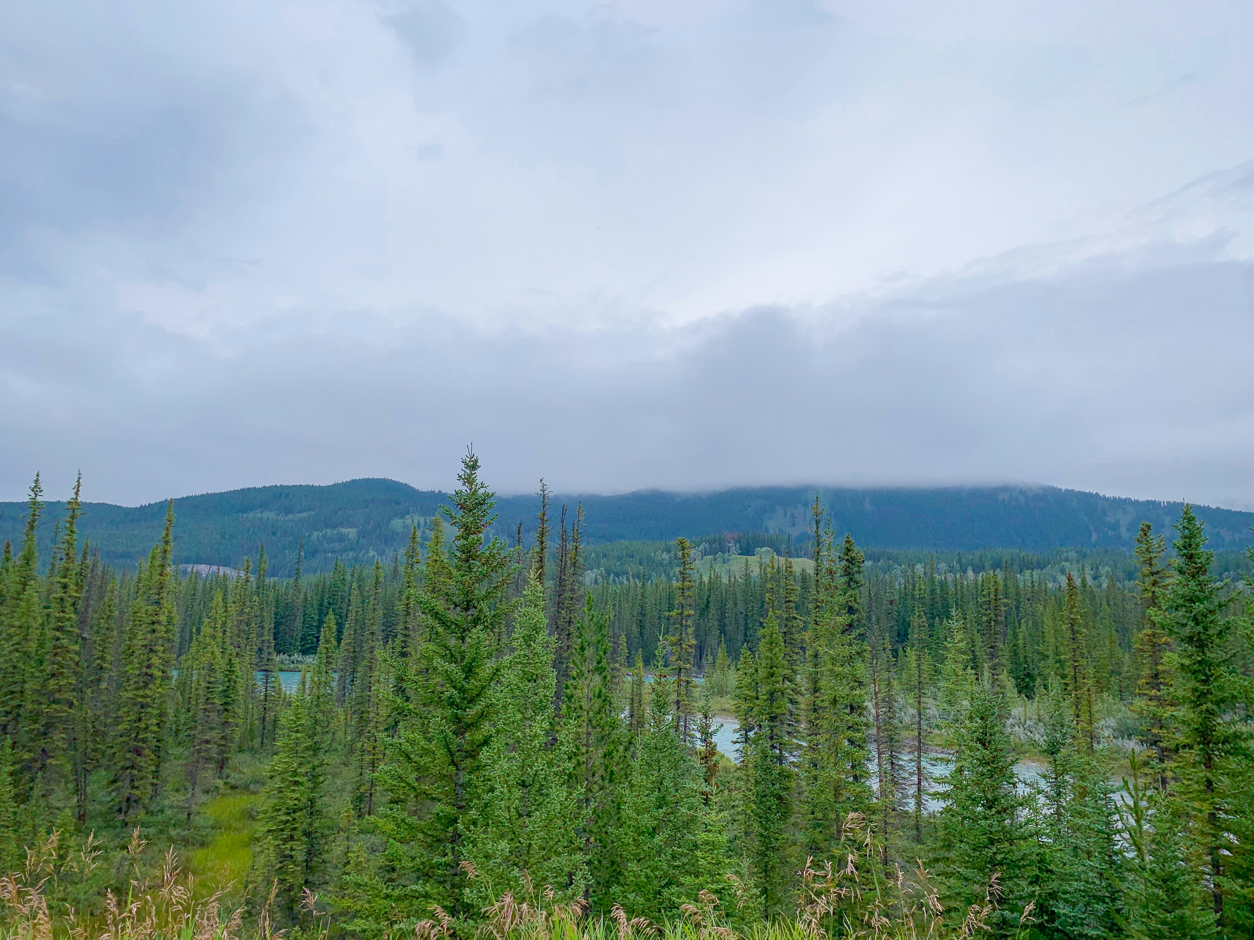 Photo by sandeepdelineates