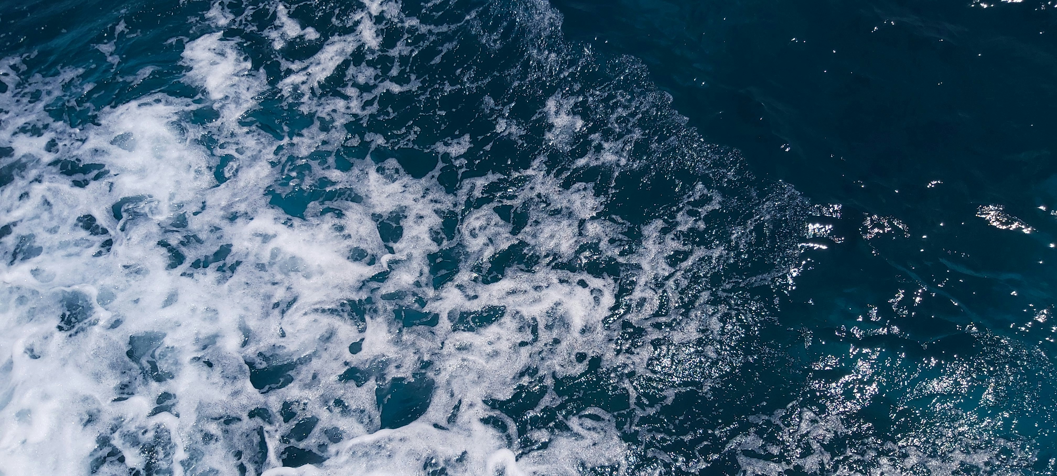 Photo by khaled2elbendary