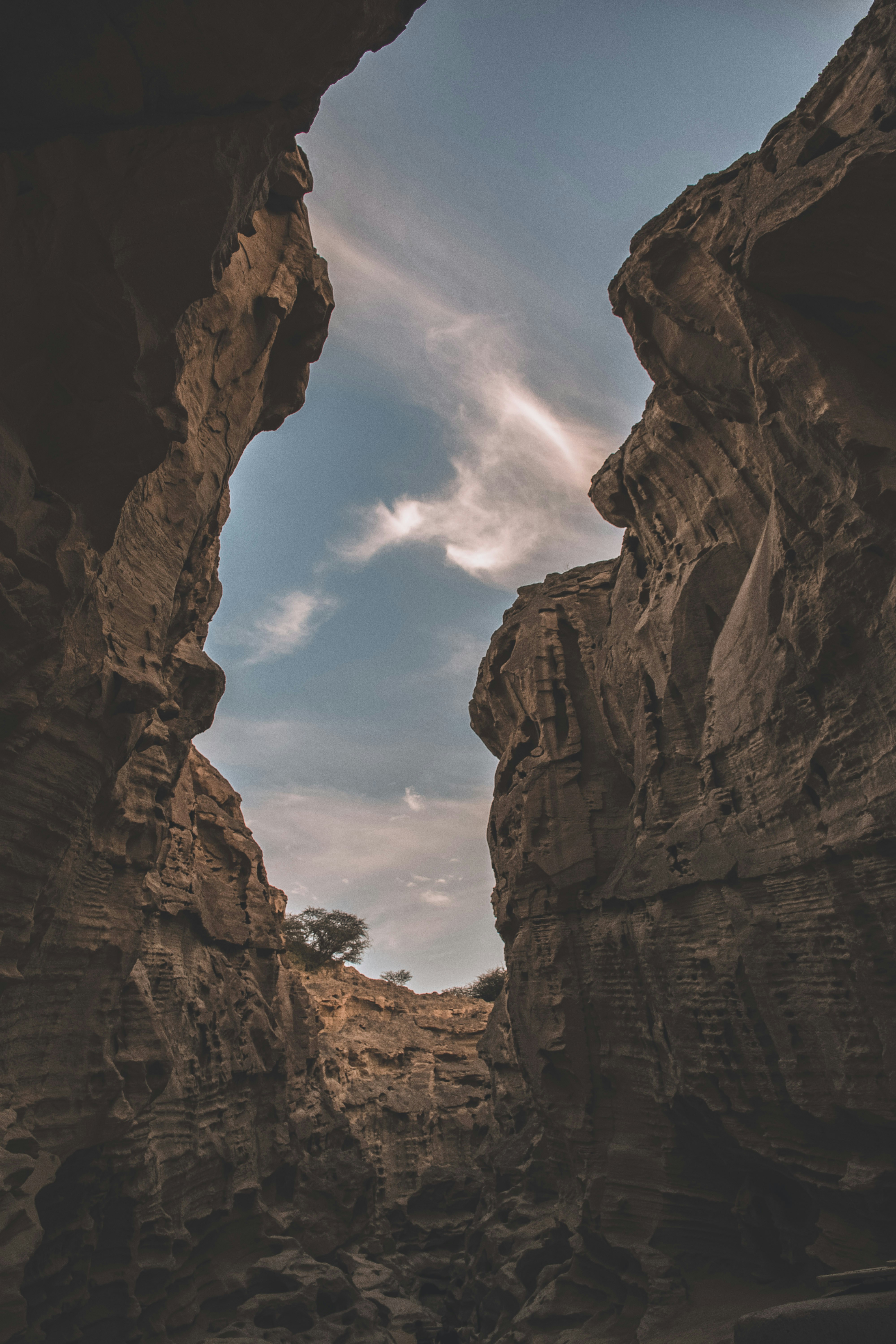 Photo by rezaeizadeh