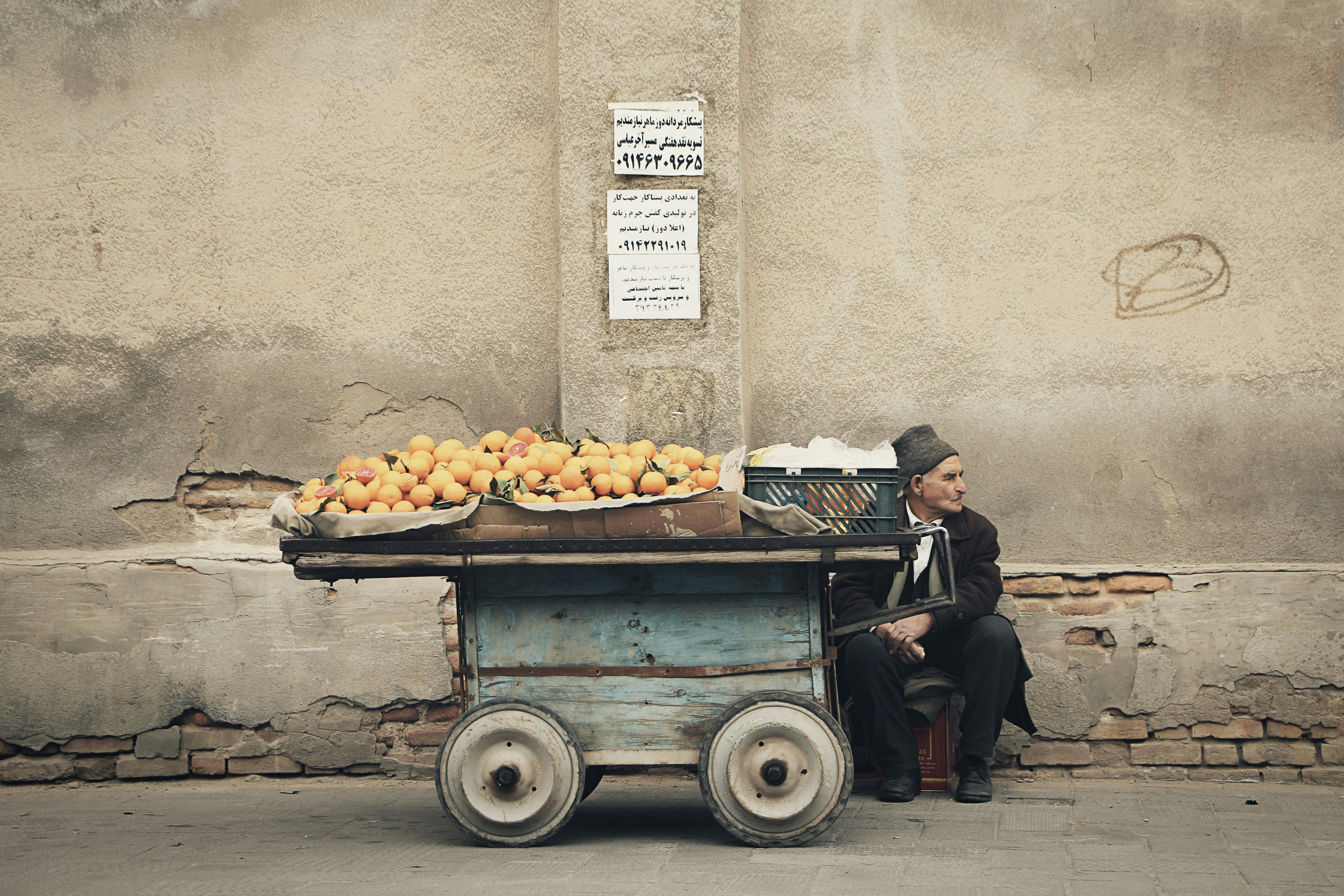 Photo by mostafa_akb