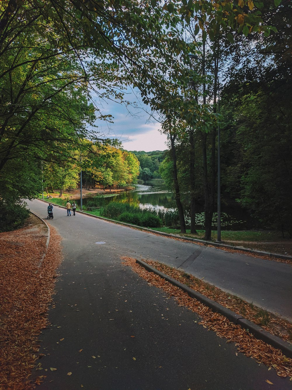 three people on concrete road viewing lake surrounded with tall and green trees under blue and white skies during daytime