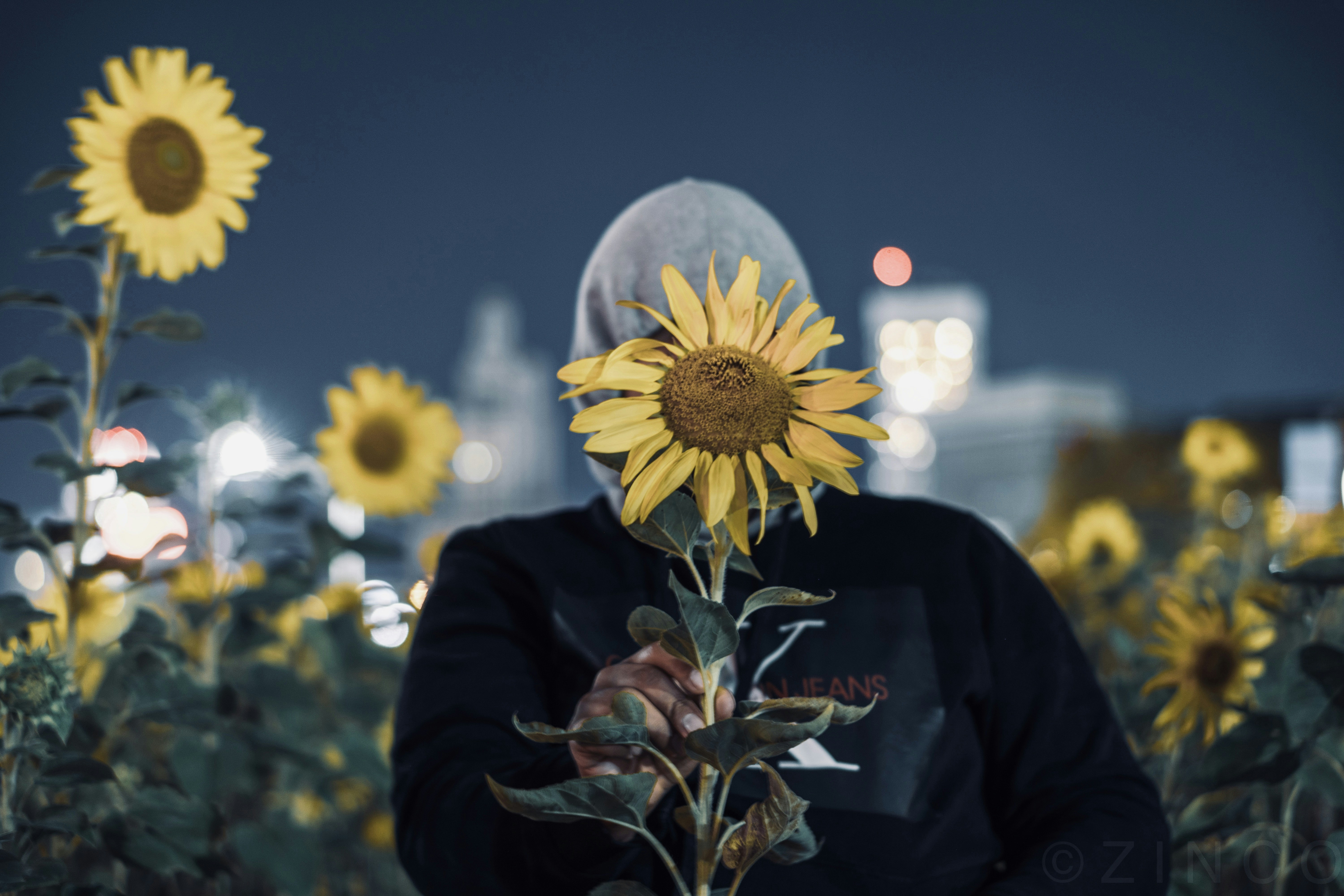 woman covering face with sunflower, Sun in the middle of the night 