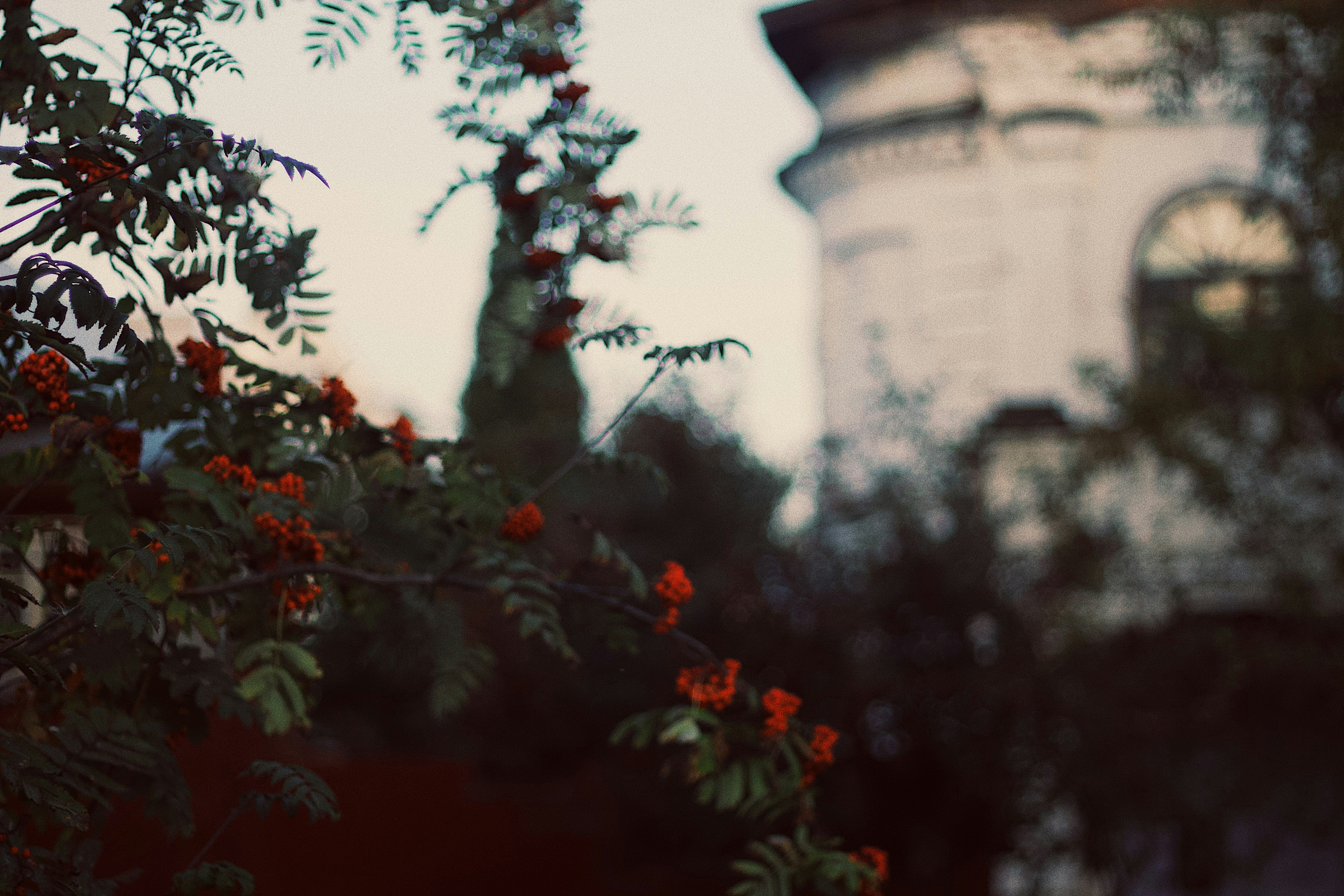 Photo by buzzinuniverse