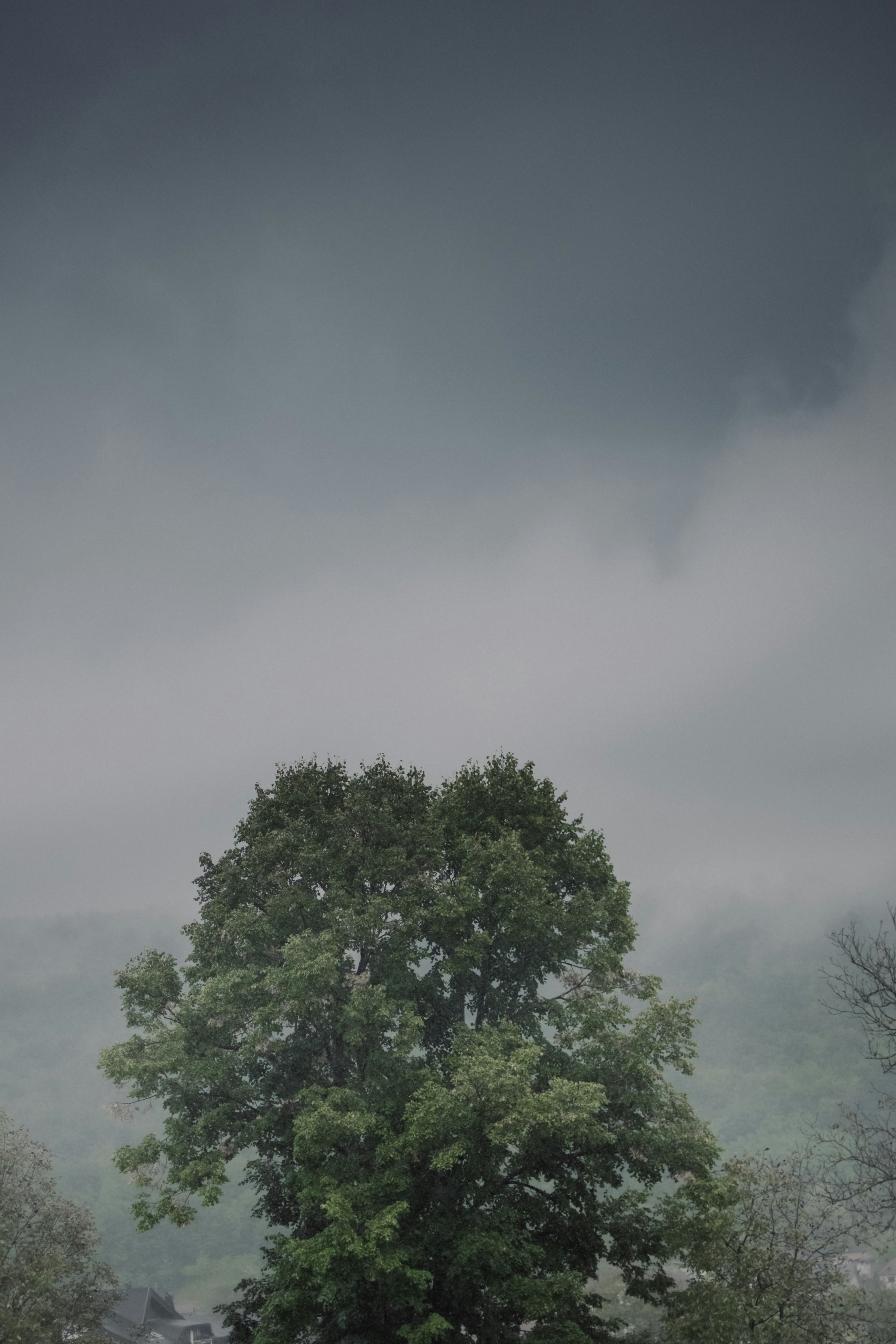 Choose from a curated selection of grey wallpapers for your mobile and desktop screens. Always free on Unsplash.