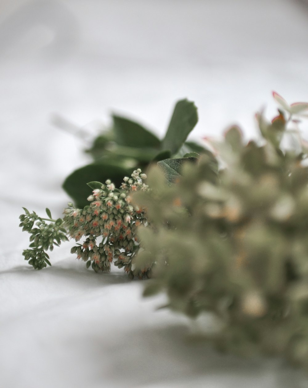 a close up of a bunch of flowers on a table