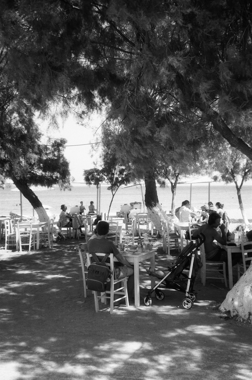 a group of people sitting at tables under a tree