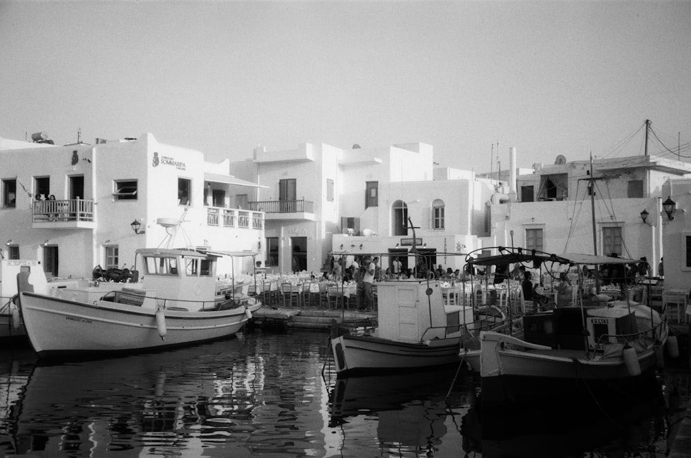 boats beside dock photo