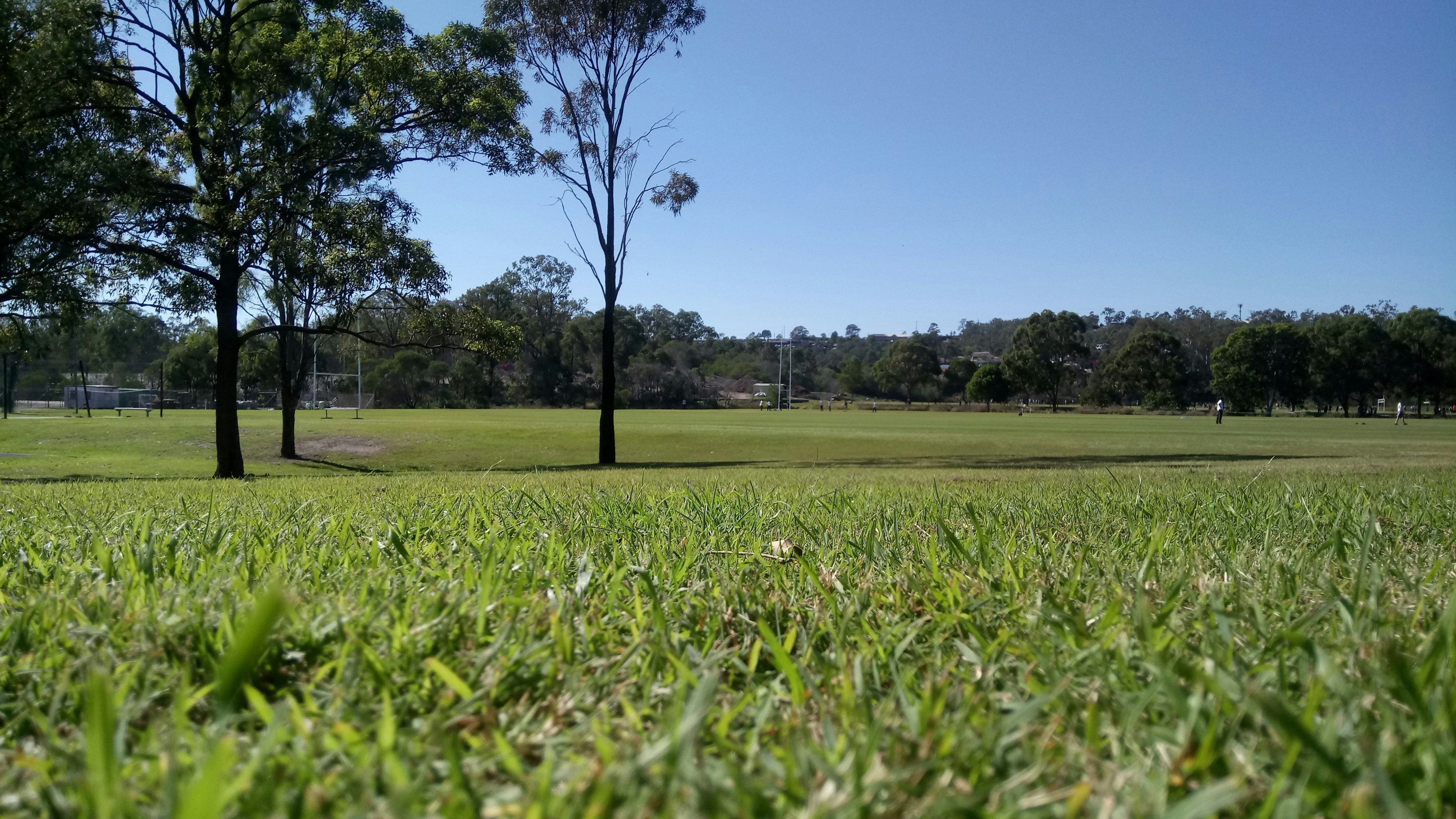 Photo by hazelriver30