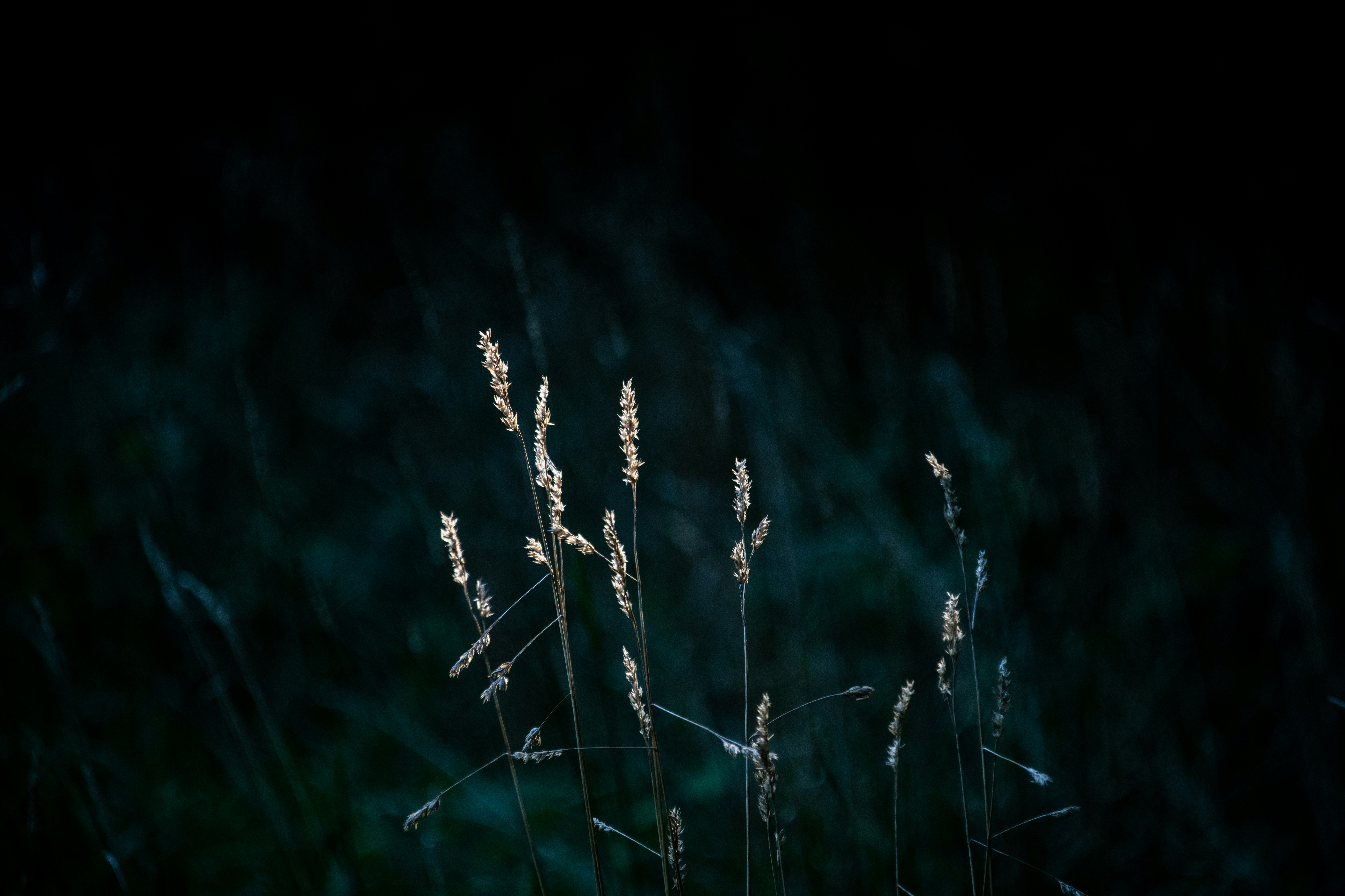 Photo by eliza28diamonds