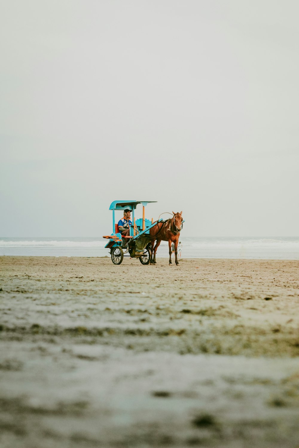 man riding carriage on beach