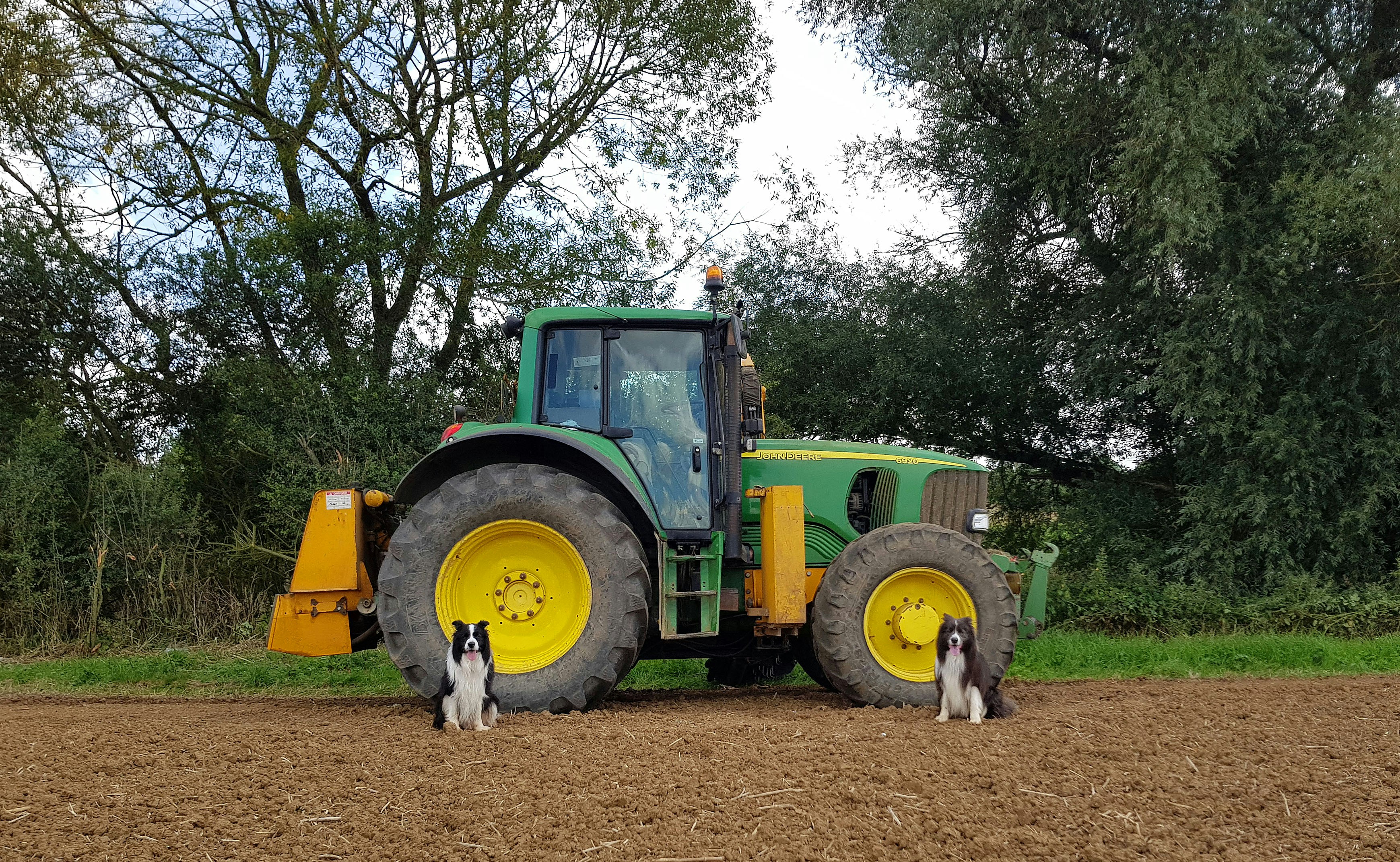 Photo by engknight64