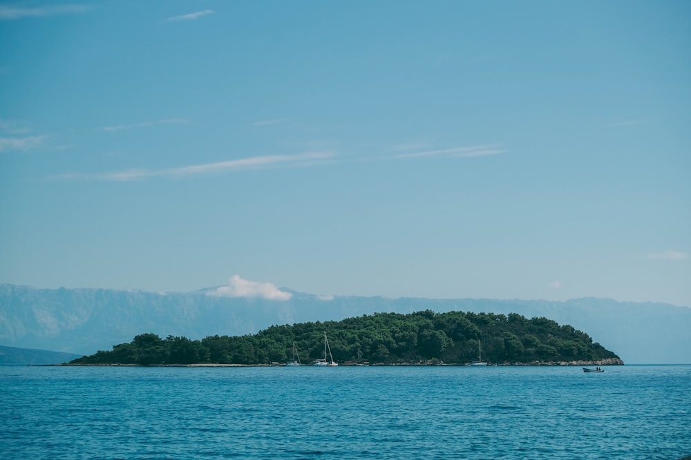 Isla bajo cielo despejado durante el día