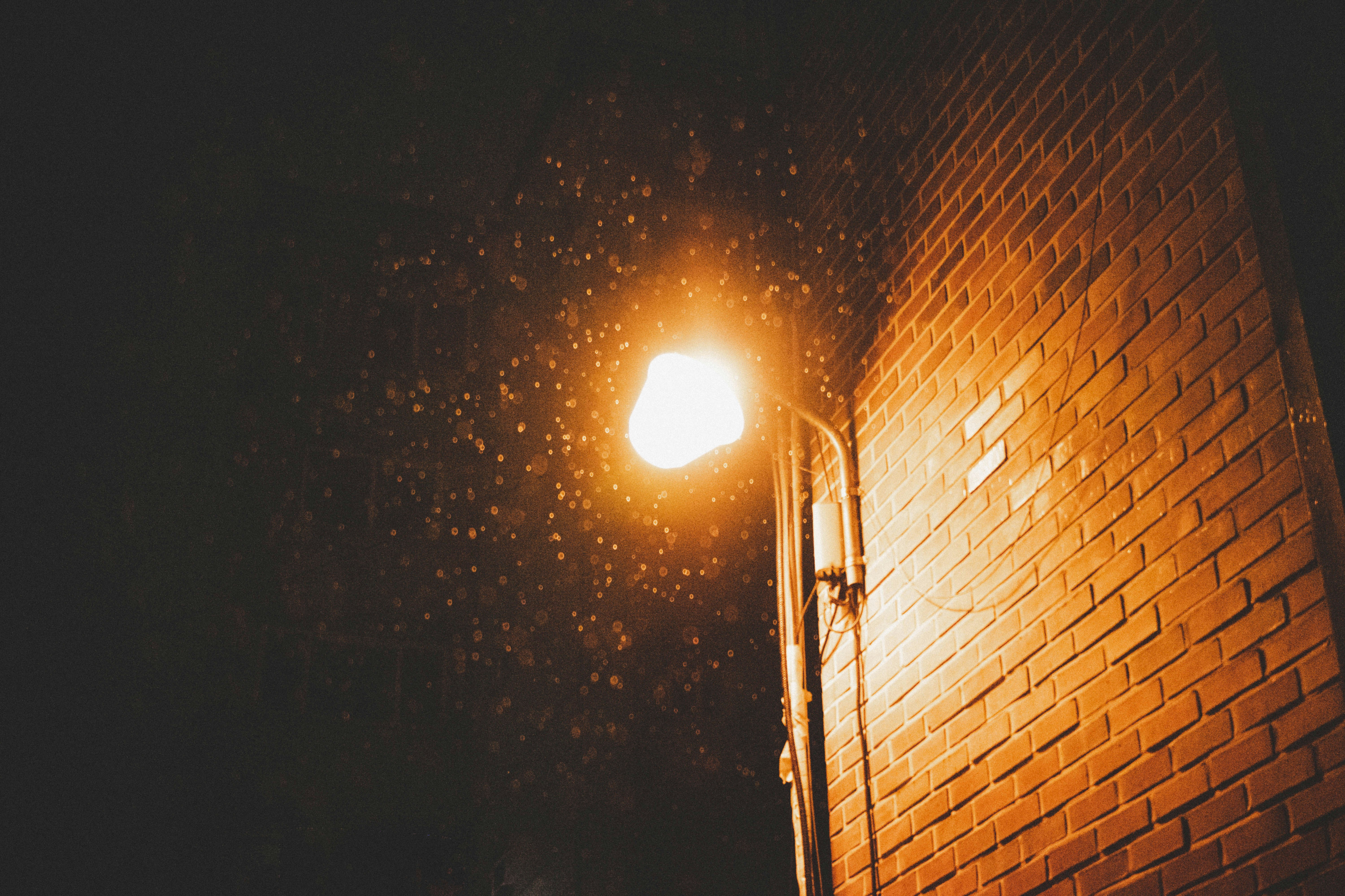 Photo by oostarteroo