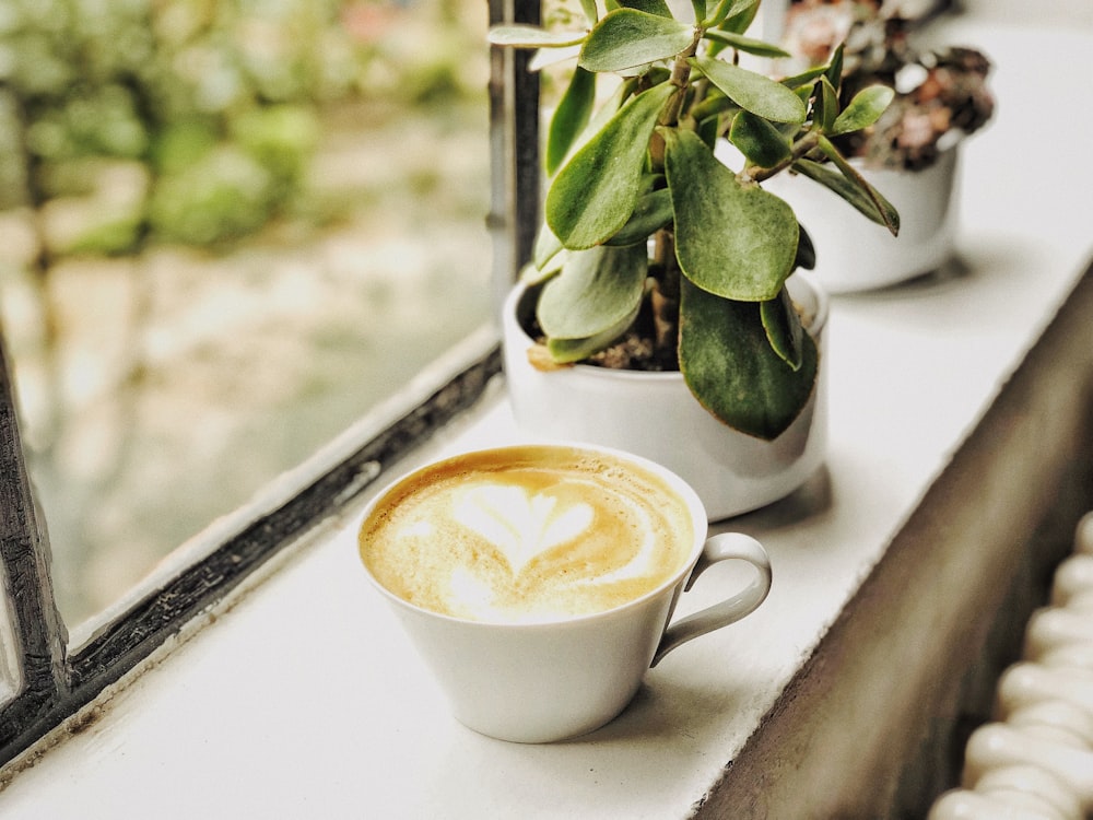 white ceramic mug near green-leafed plant