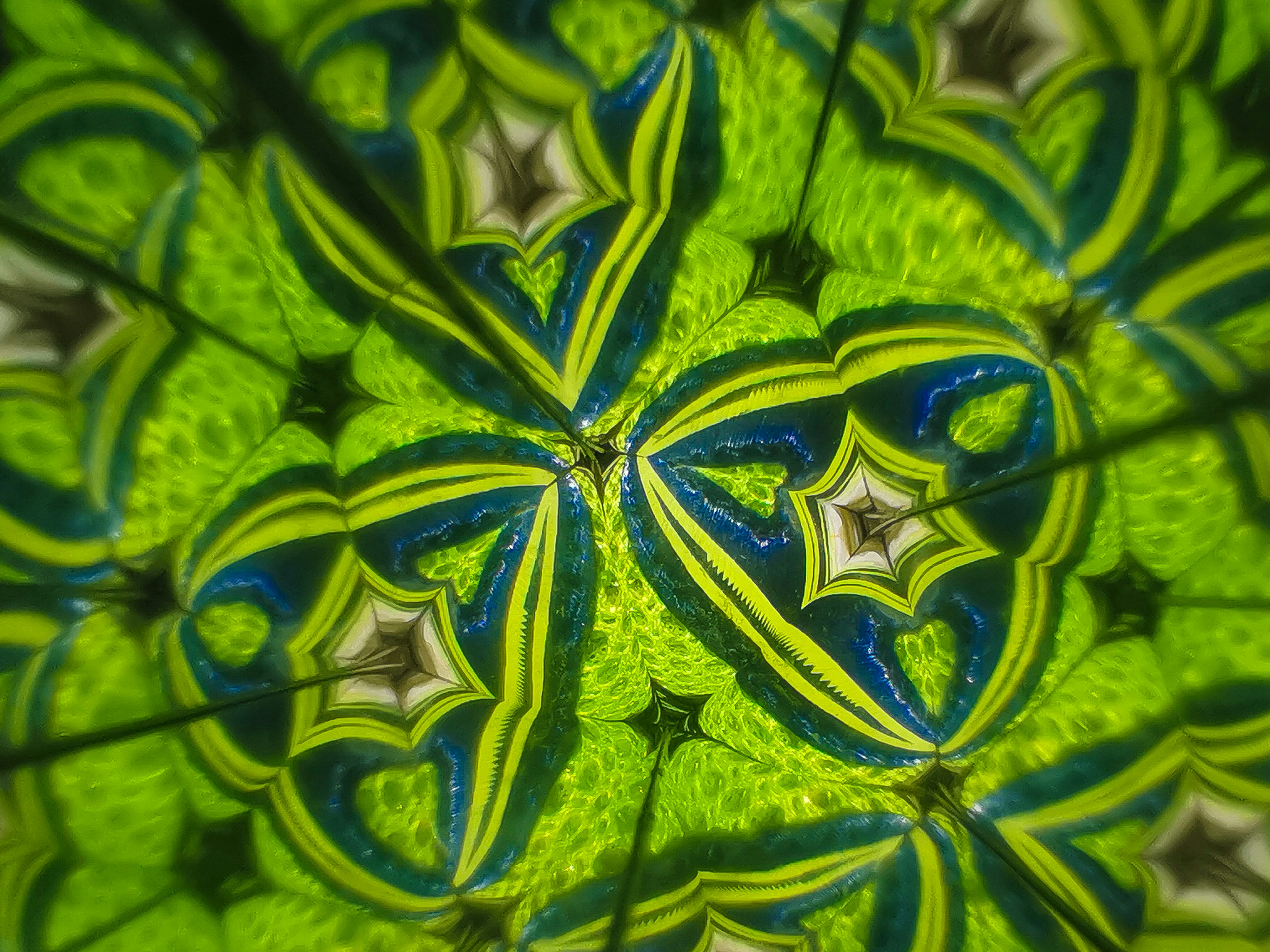 Vibrant Floral Pattern Print