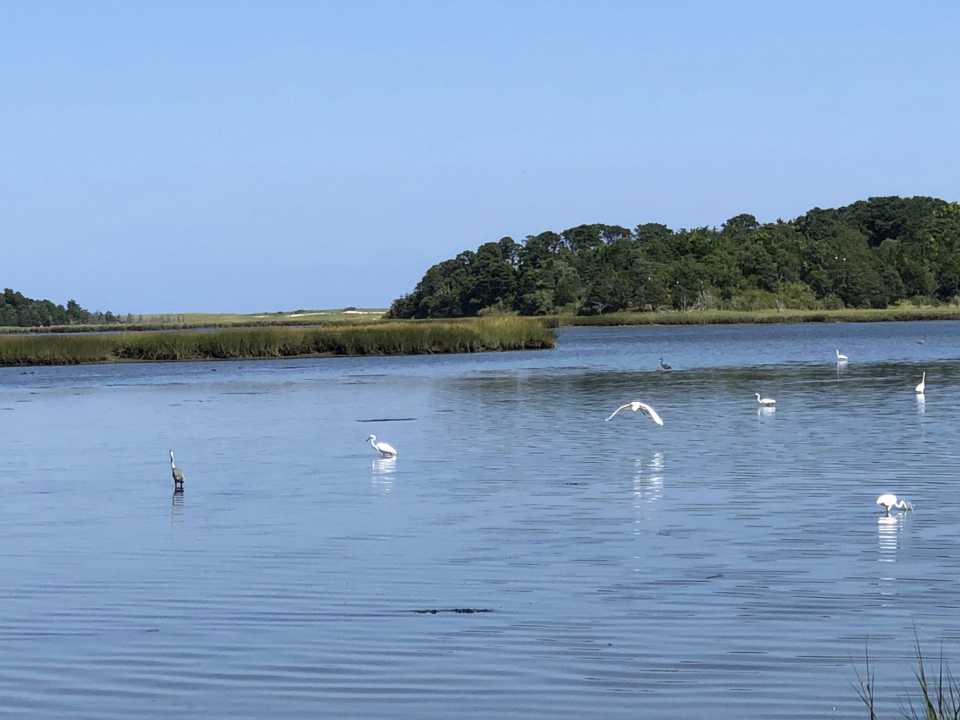 Photo by sufimaster1