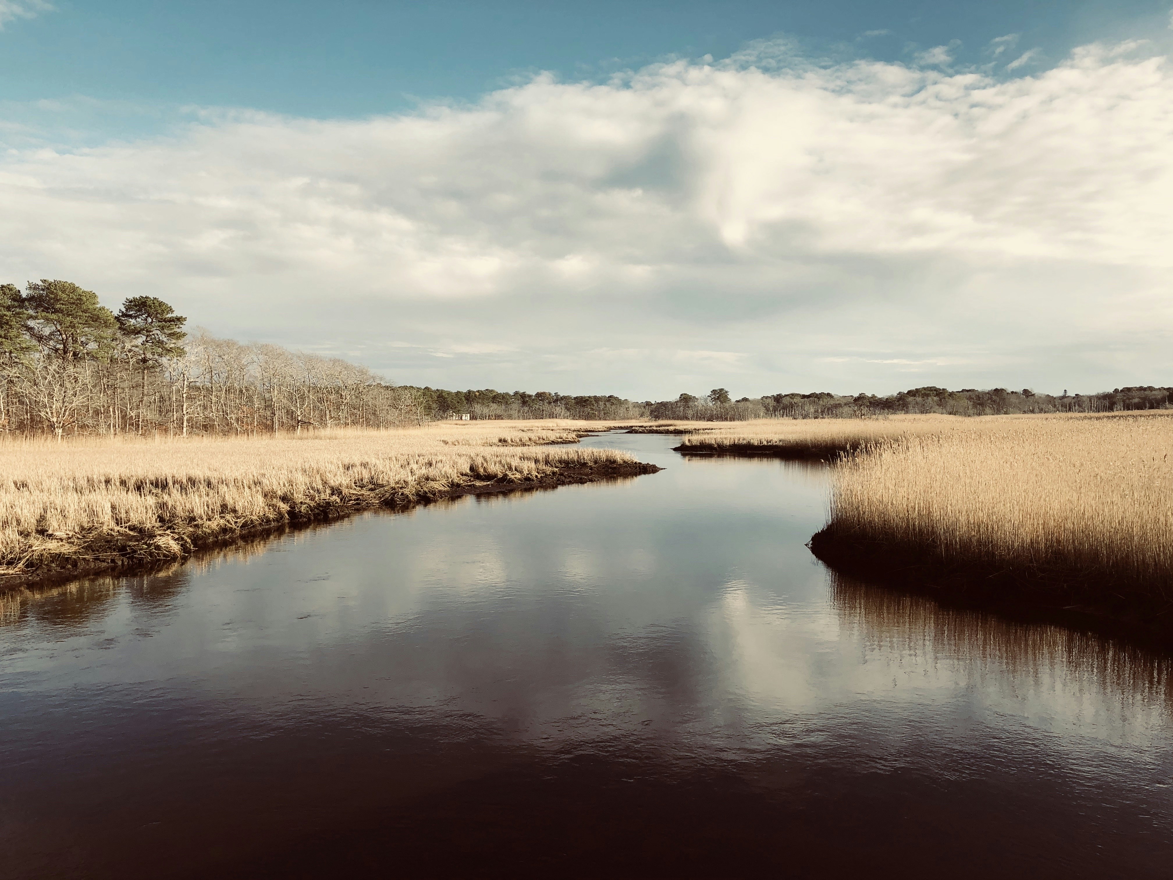 Photo by sufimaster1