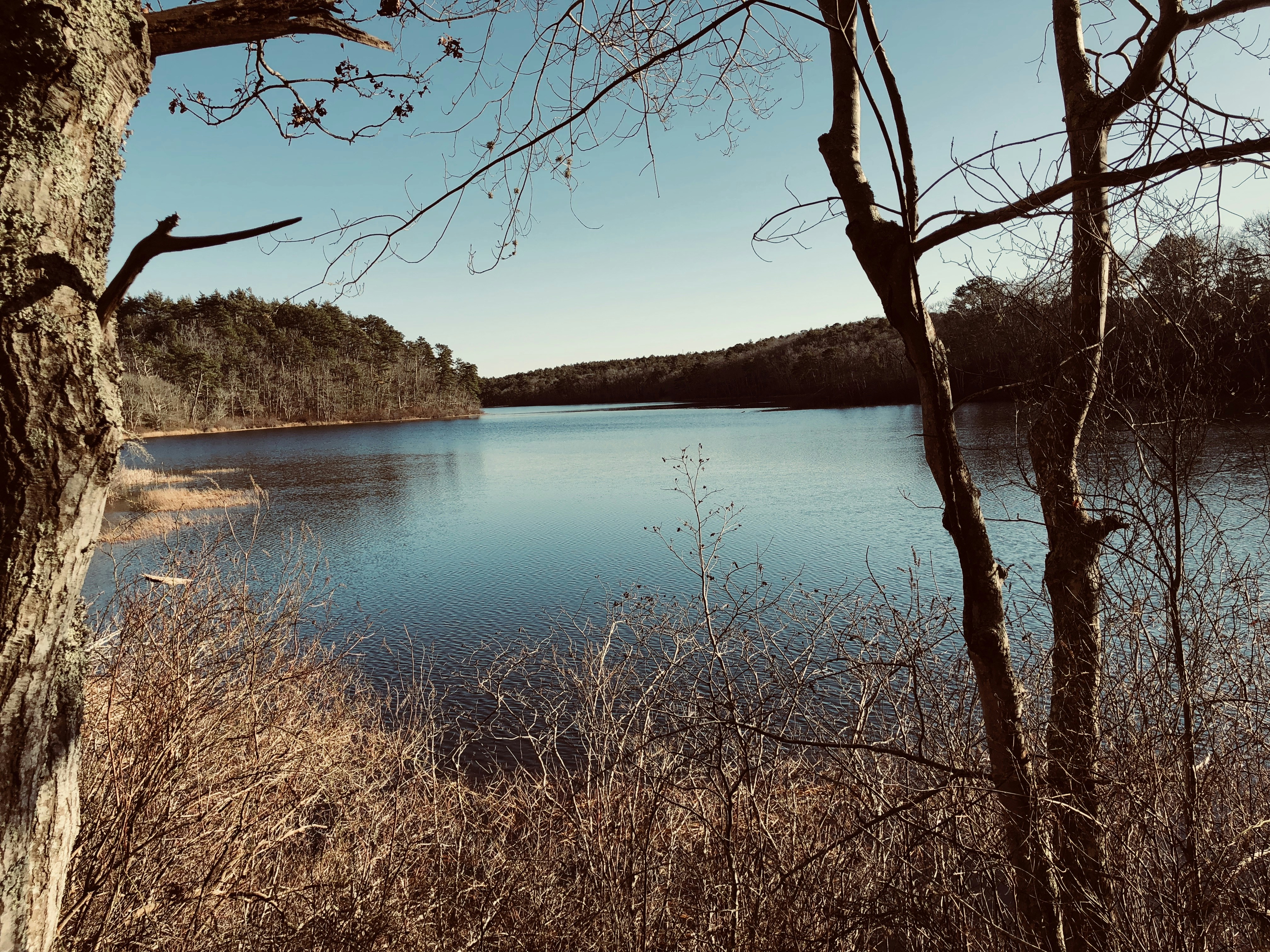 Photo by sufimaster1