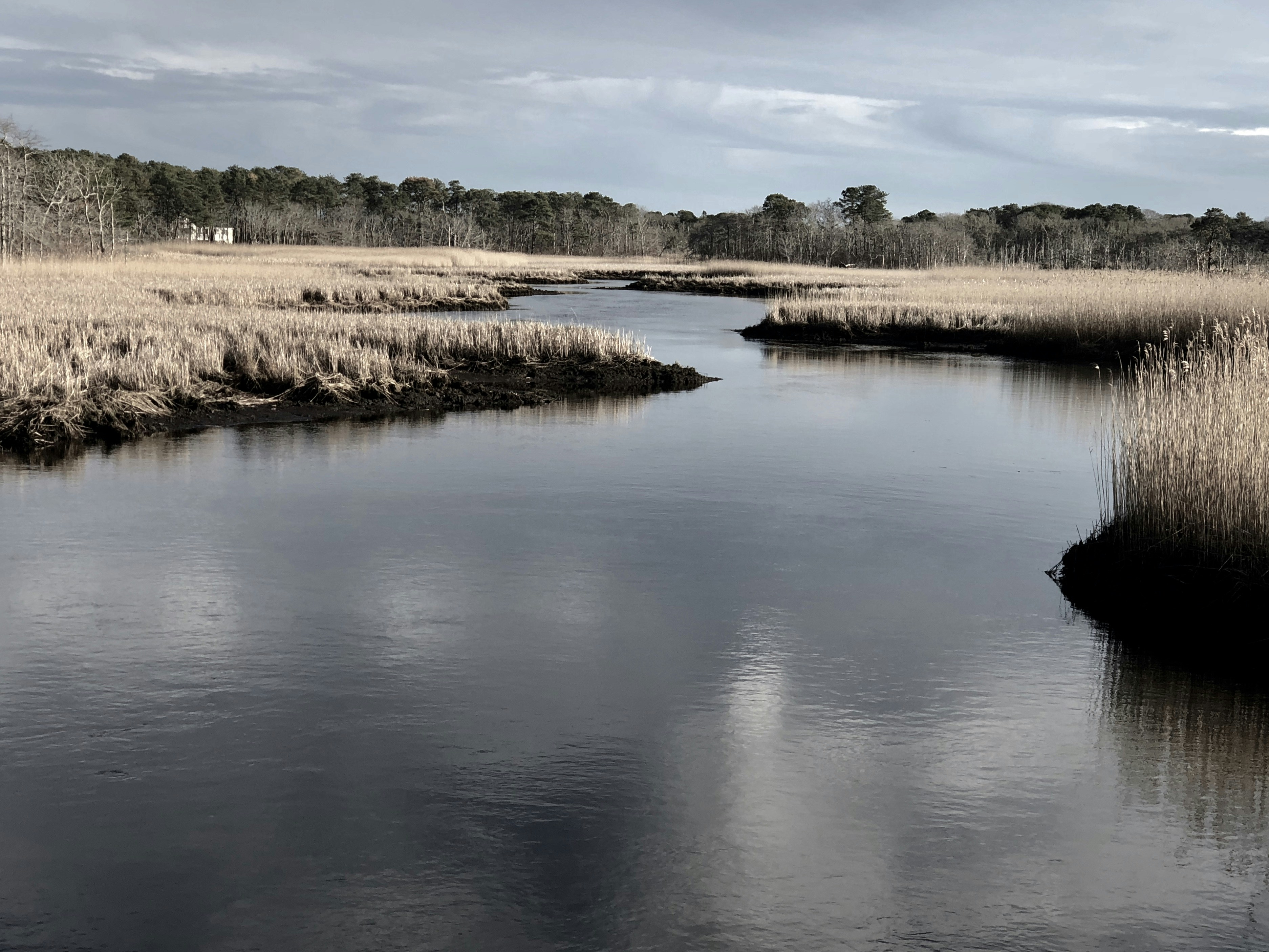 Photo by sufimaster1