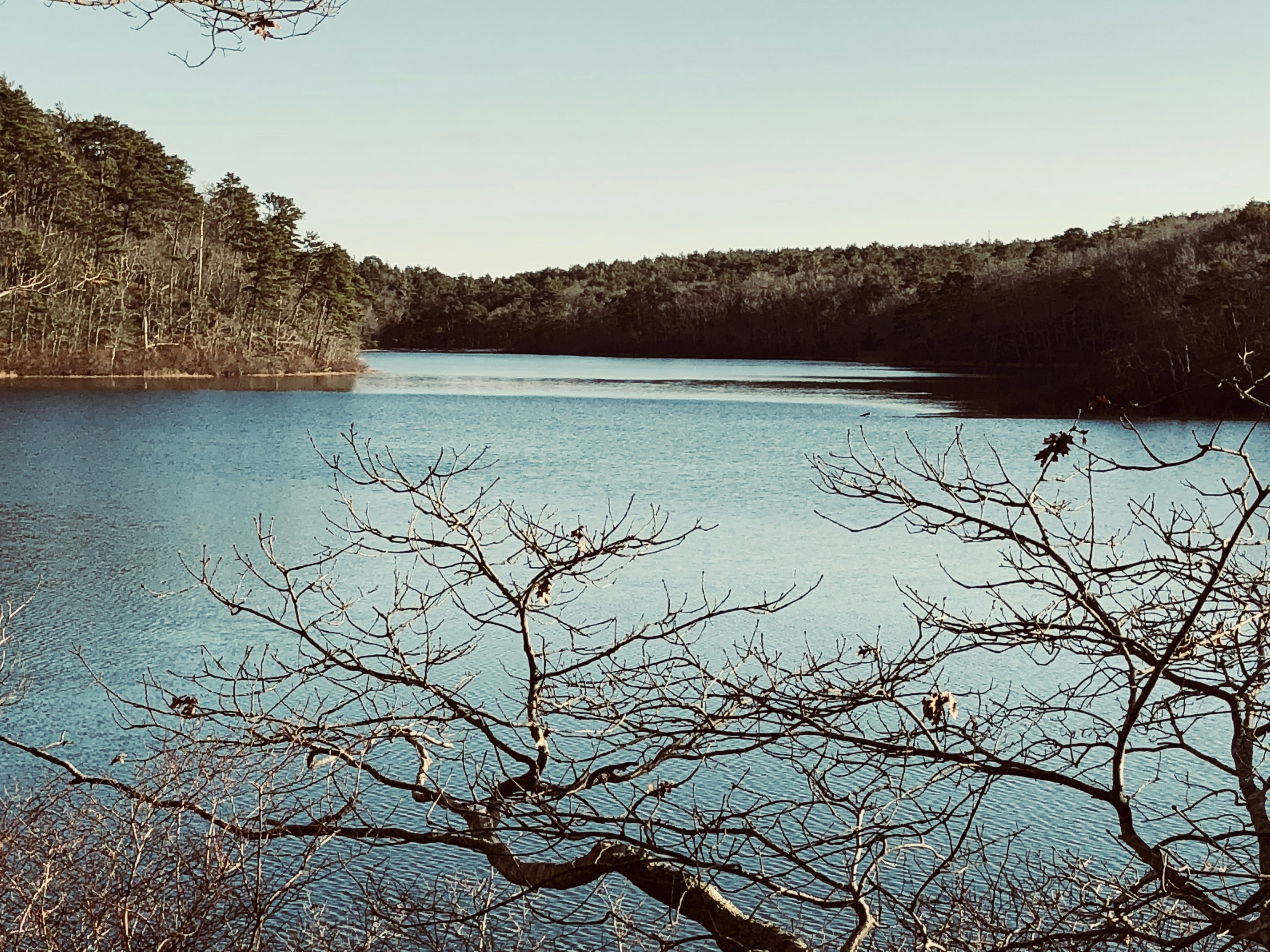 Photo by sufimaster1