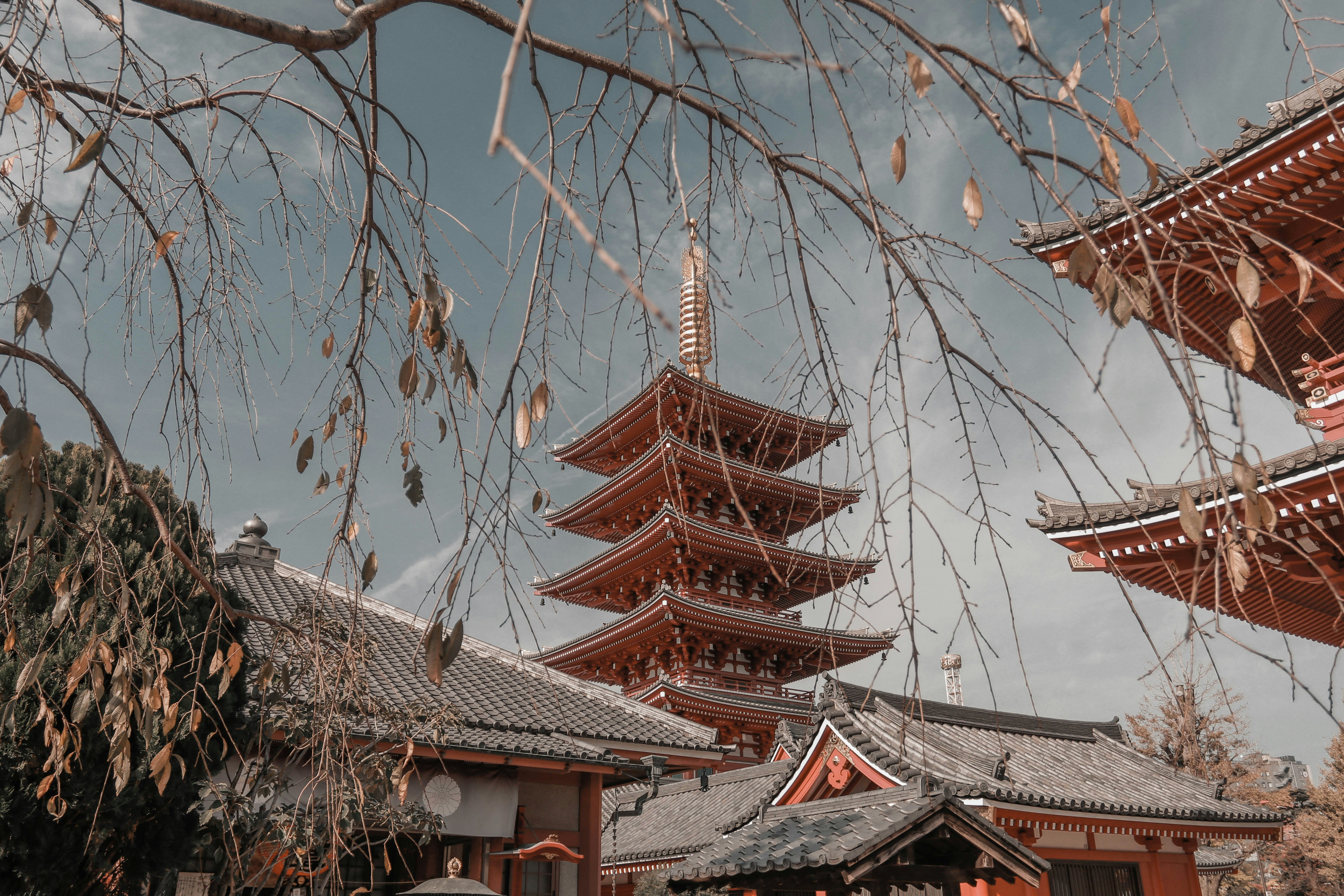 black, white, and red wooden pagoda