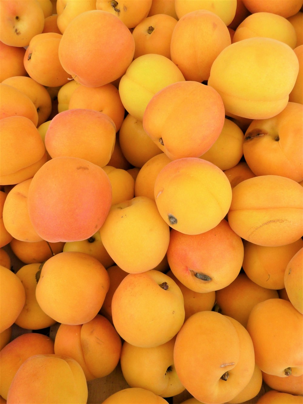 pile of yellow fruits