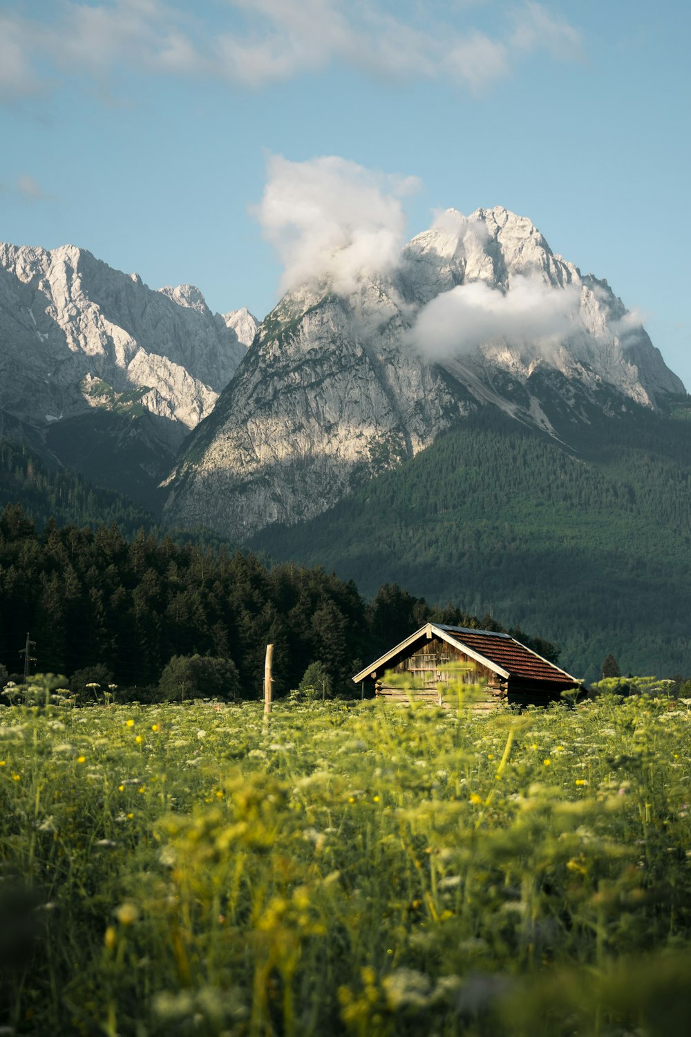 braunes Holzhaus in der Nähe des Berges