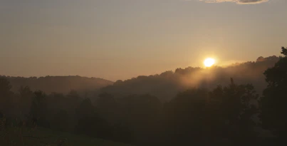 A serene sunrise over the misty páramos near Bogotá, with lush green foliage and soft golden light.