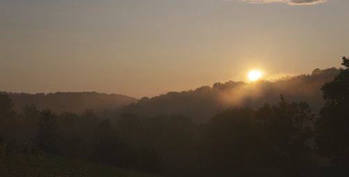 Bright sunrise over a peaceful natural landscape.