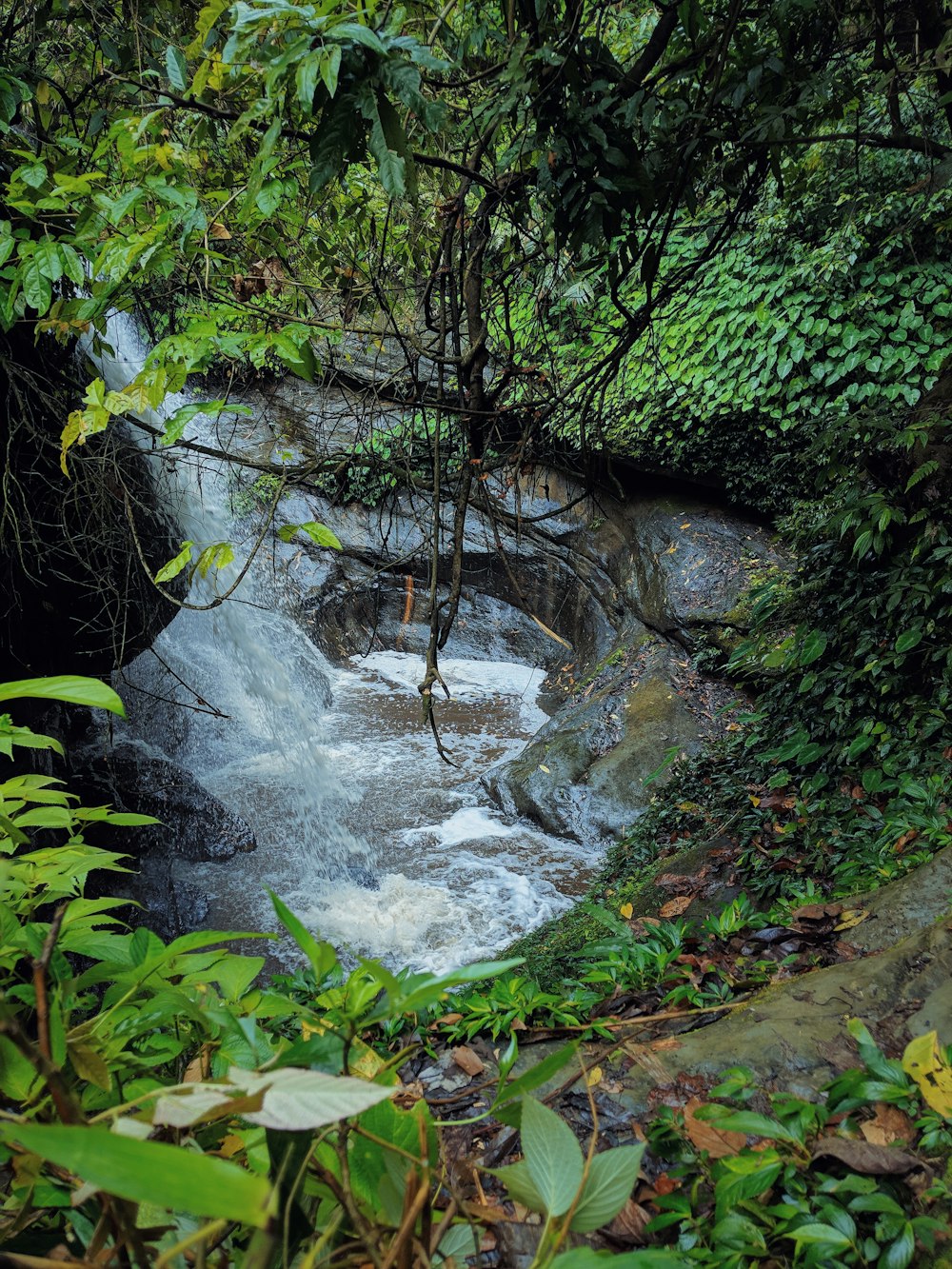 photography of waterfalls during daytime