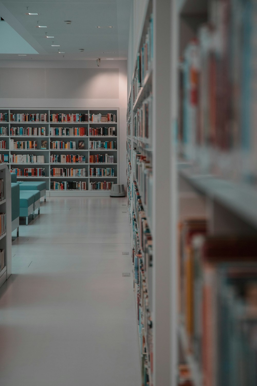 assorted books on book case