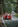 man and woman near orange car