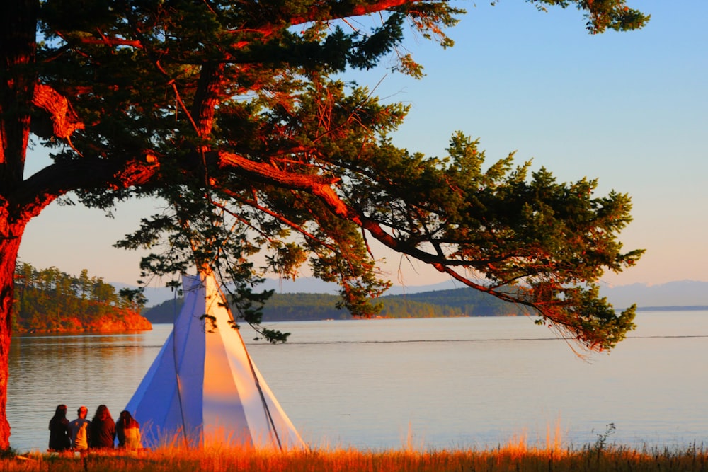 four people sitting beside tent under tree