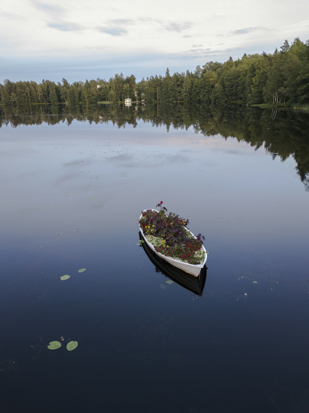 white boat