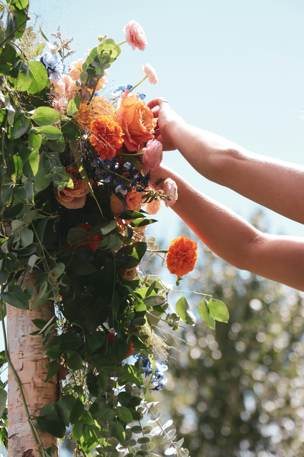 orange petaled flowers