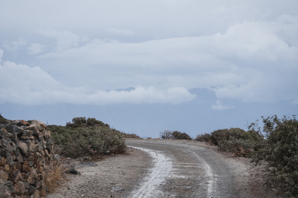 dirt road and hedges during day