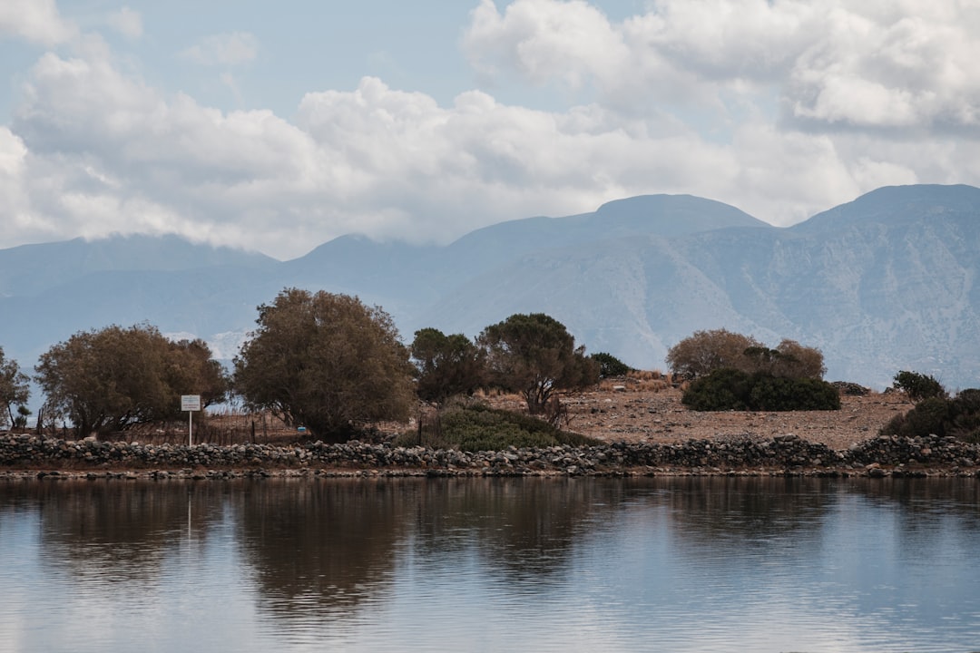 trees near mountain and body of water during daytime