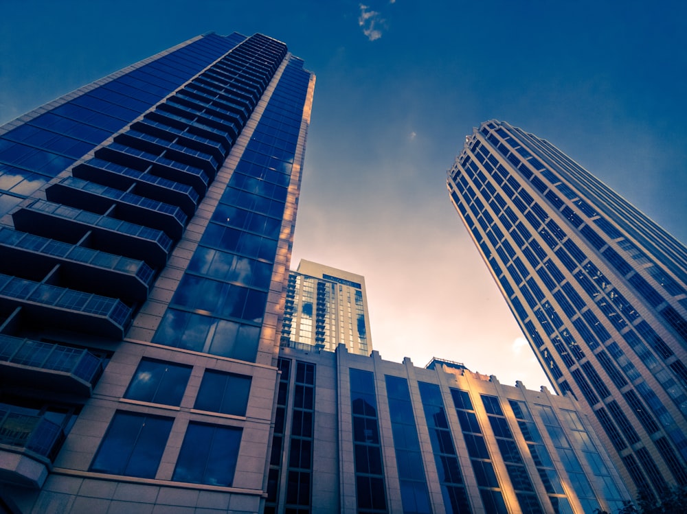 curtain-wall high-rise buildings during daytime